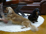 resize0714.jpg
