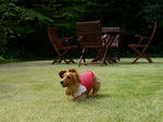 resize0727.jpg