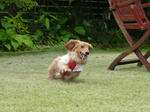 resize0728.jpg