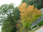resize0750.jpg