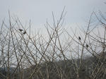 IMG_7273.jpg