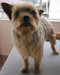 6393e545.jpg