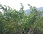 110529_145735.jpg