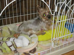 IMG_7622.jpg