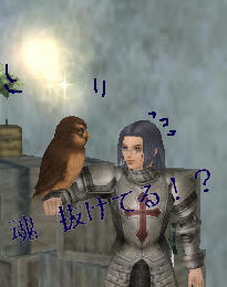 フクロウ♪