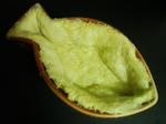 img280.jpg