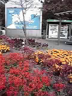 P1010055.JPG