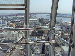 DSC00229.jpg