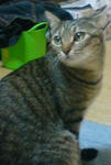 DECO_20090103123426.jpg