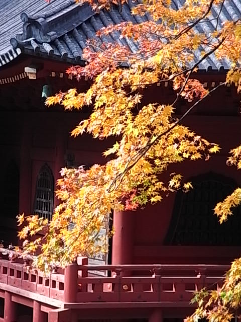二荒山神社1