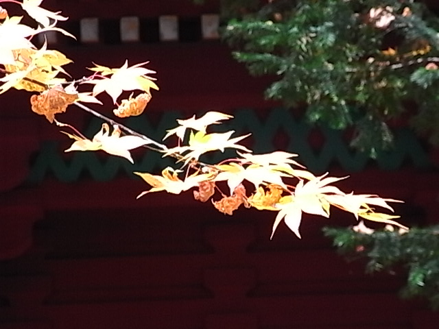 二荒山神社2