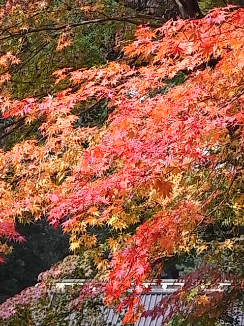 二荒山神社3