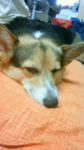 DSC00002.JPG