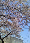 200804061045000.jpg