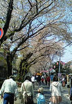 200804061045001.jpg