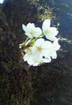 200804061219000.jpg