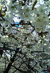 200804061450000.jpg