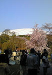 200804061534000.jpg
