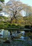 200804061541000.jpg