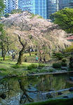 200804061543000.jpg