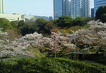 200804061545000.jpg