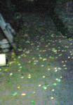 200810120013000.jpg