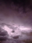 DSCF2537.jpg