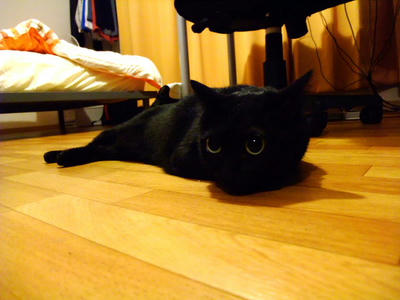 2008_10240002.JPG
