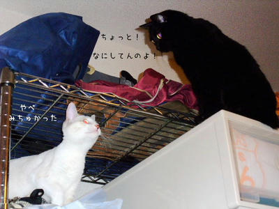 2008_1028bbb.JPG
