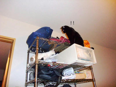 2008_1028aaa.JPG