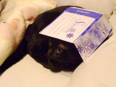 2008_10280167.JPG