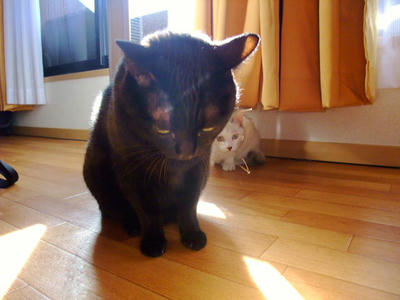 2008_11010090.JPG