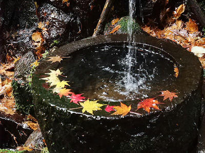 2008_11030188.JPG