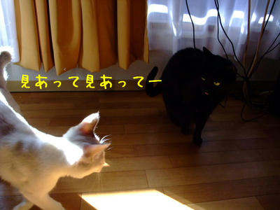 2008_11030099a.JPG
