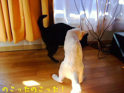 2008_11010095b.JPG