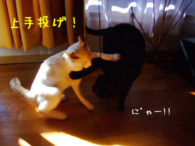 2008_11030102d.JPG