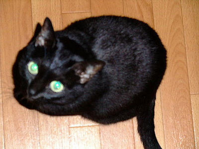 2008_10280081.JPG
