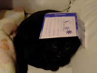 2008_10280166.JPG