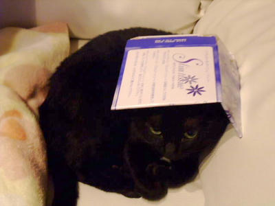 2008_10280166b.JPG