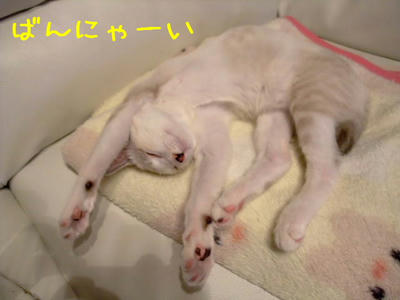 2008_10280011a.JPG