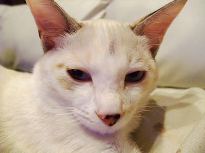 2008_11060059e.JPG
