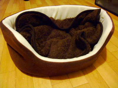2008_11080130.JPG