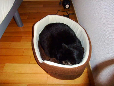 2008_11090017.JPG