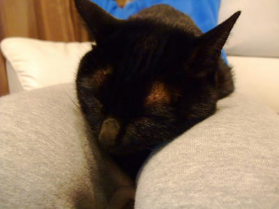 2008_11090027.JPG