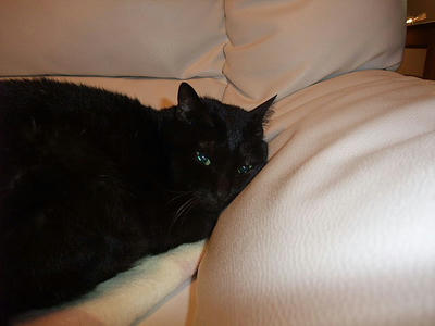 2008_11090052.JPG