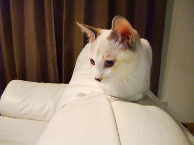 2008_11090062.JPG