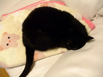 2008_11090063.JPG