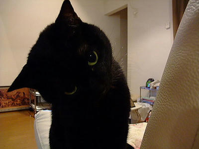 2008_11130079.JPG