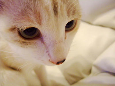 2008_11130101.JPG