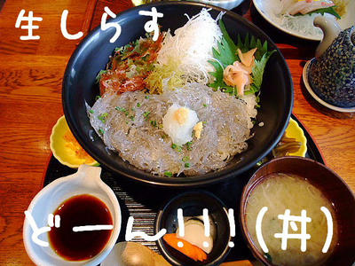 2008_11150031e.JPG